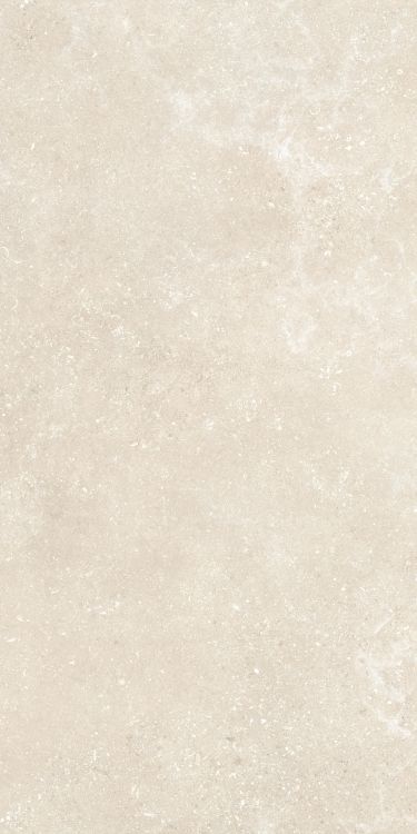 Untamed Wander Warm 24 x 48